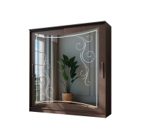 Шкаф-купе 1.7 Модус венге